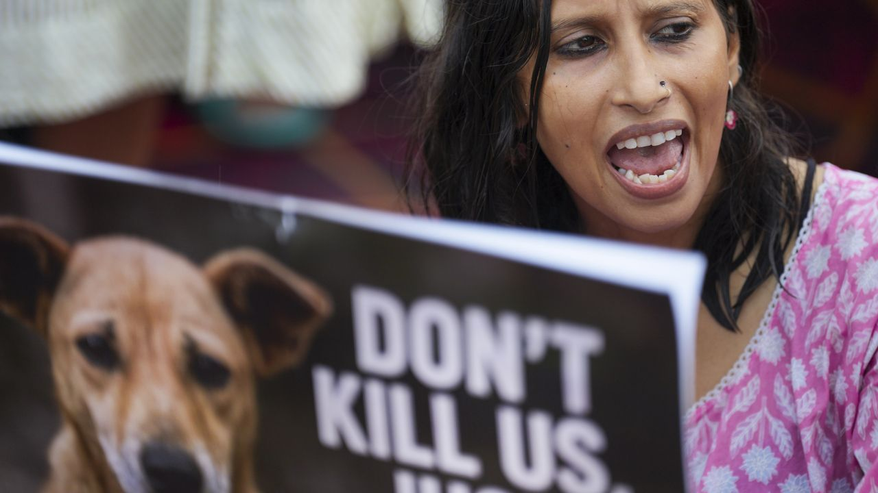 Animal Protest
