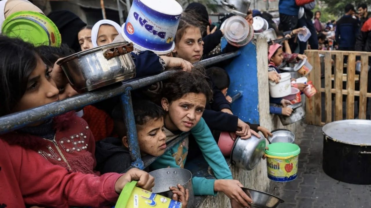 Gaza Crisis 