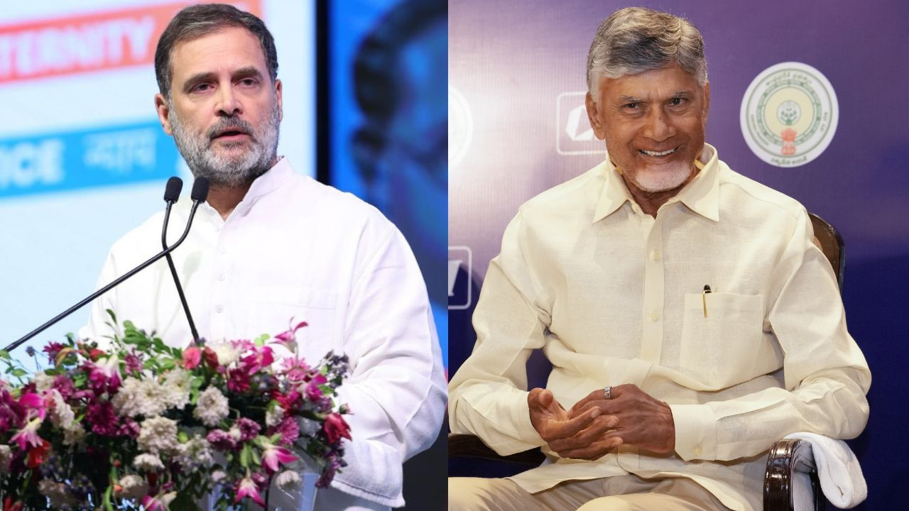 Rahul Gandhi and Chandrababu Naidu