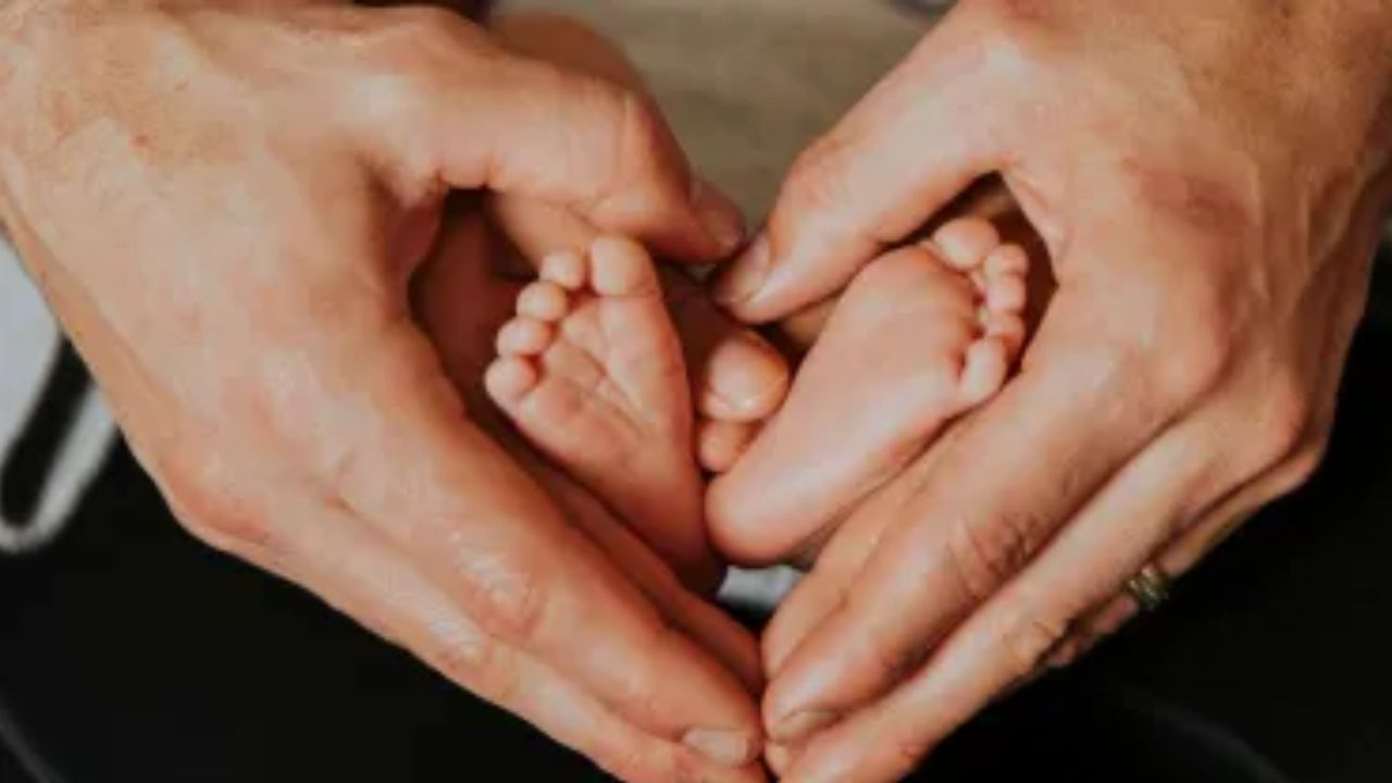 world ivf day
