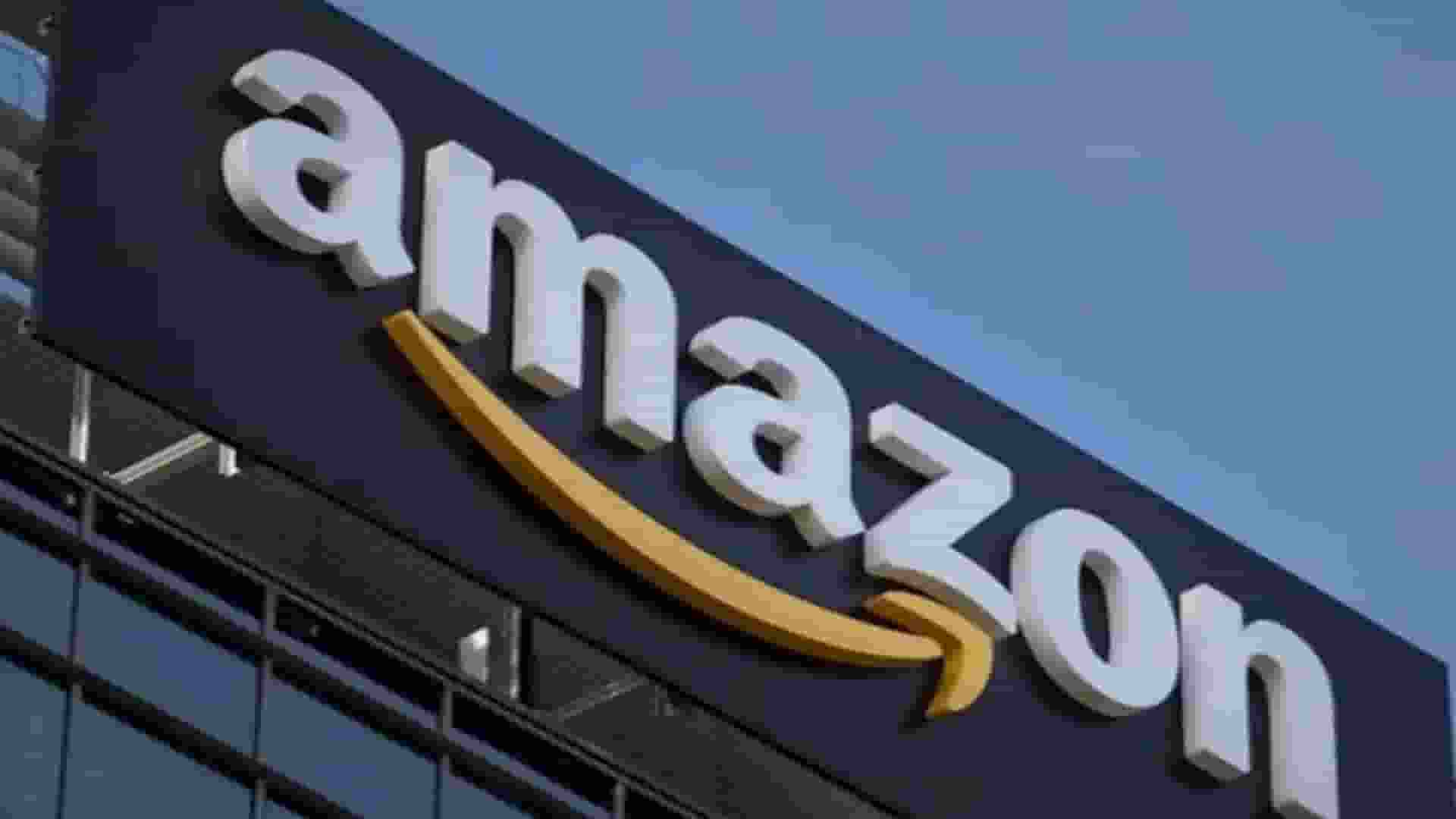 amazon representational imgae । Photo Credit: PTI