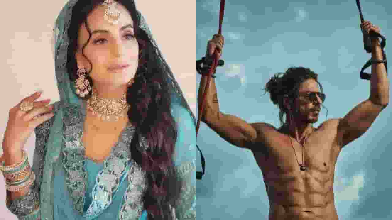 Ameesha patel and Shahrukh Khan