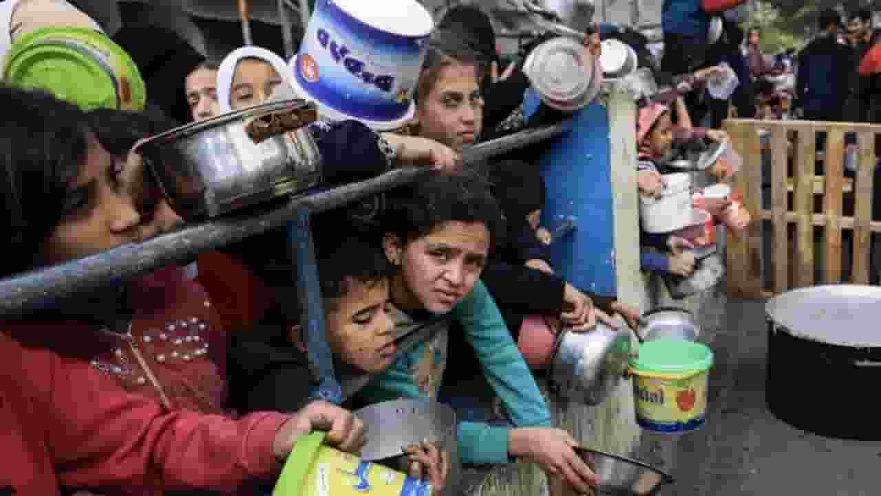 Gaza Crisis 