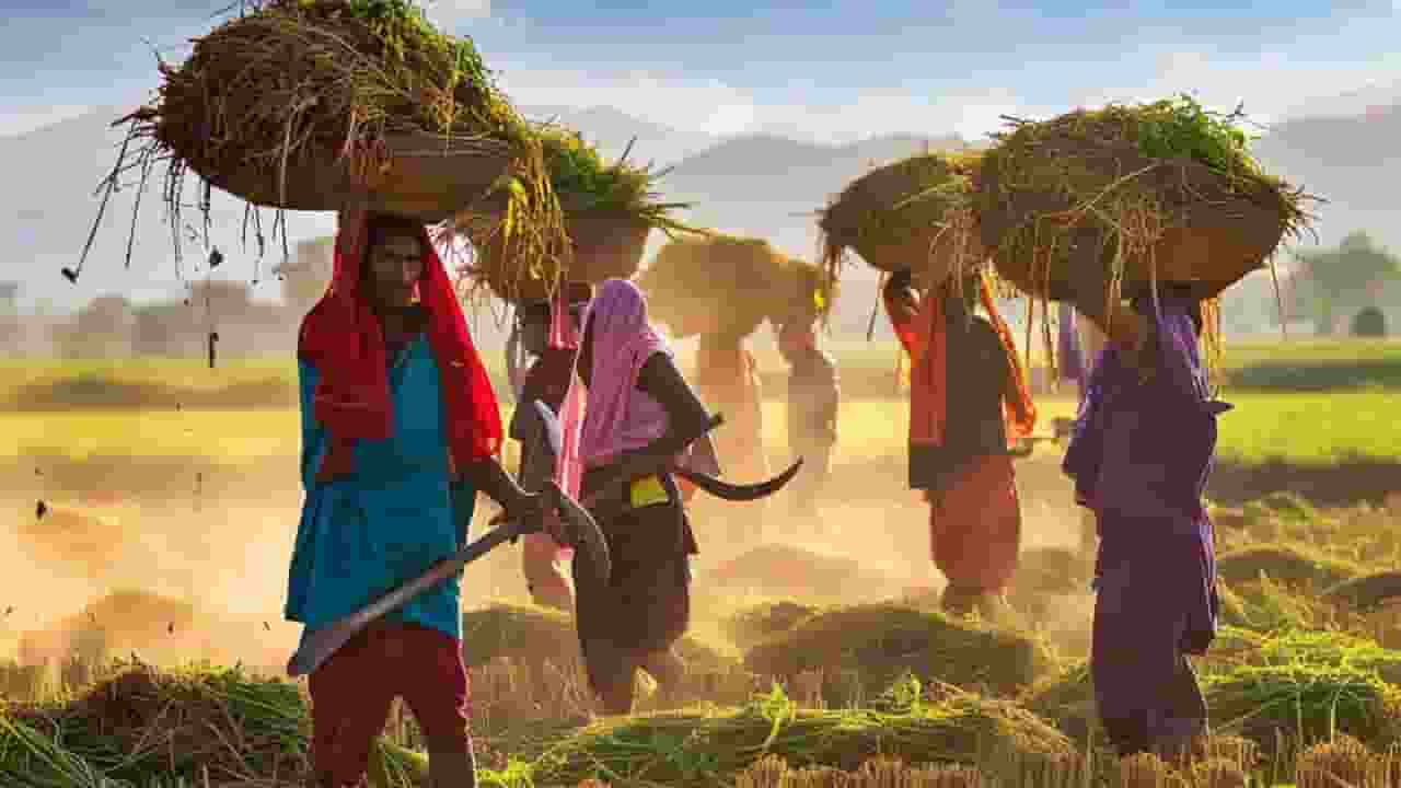 mgnrega