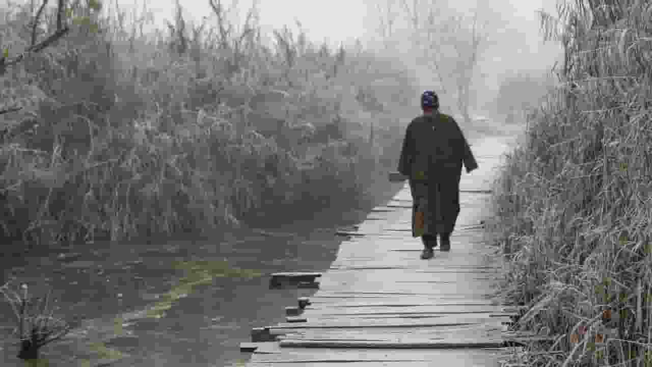 kashmir
