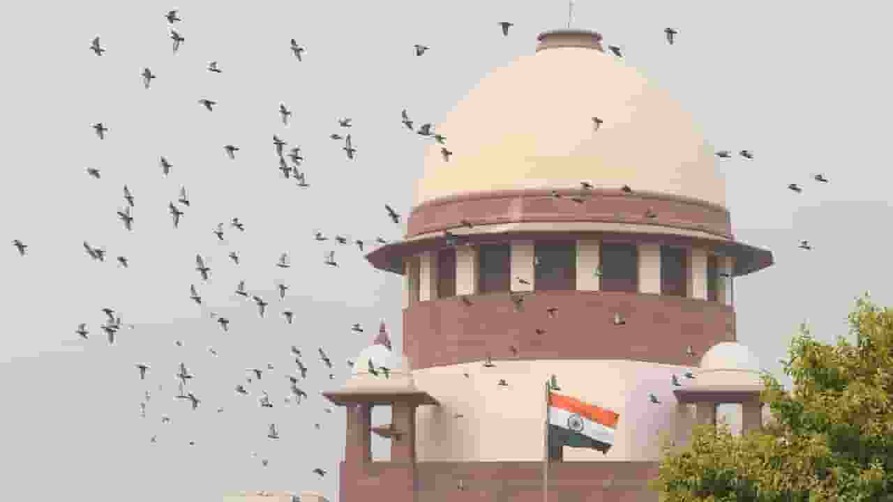 supreme court