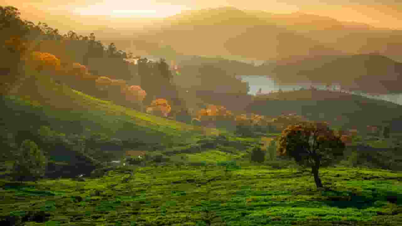 Ooty Hill Station Tamilnadu