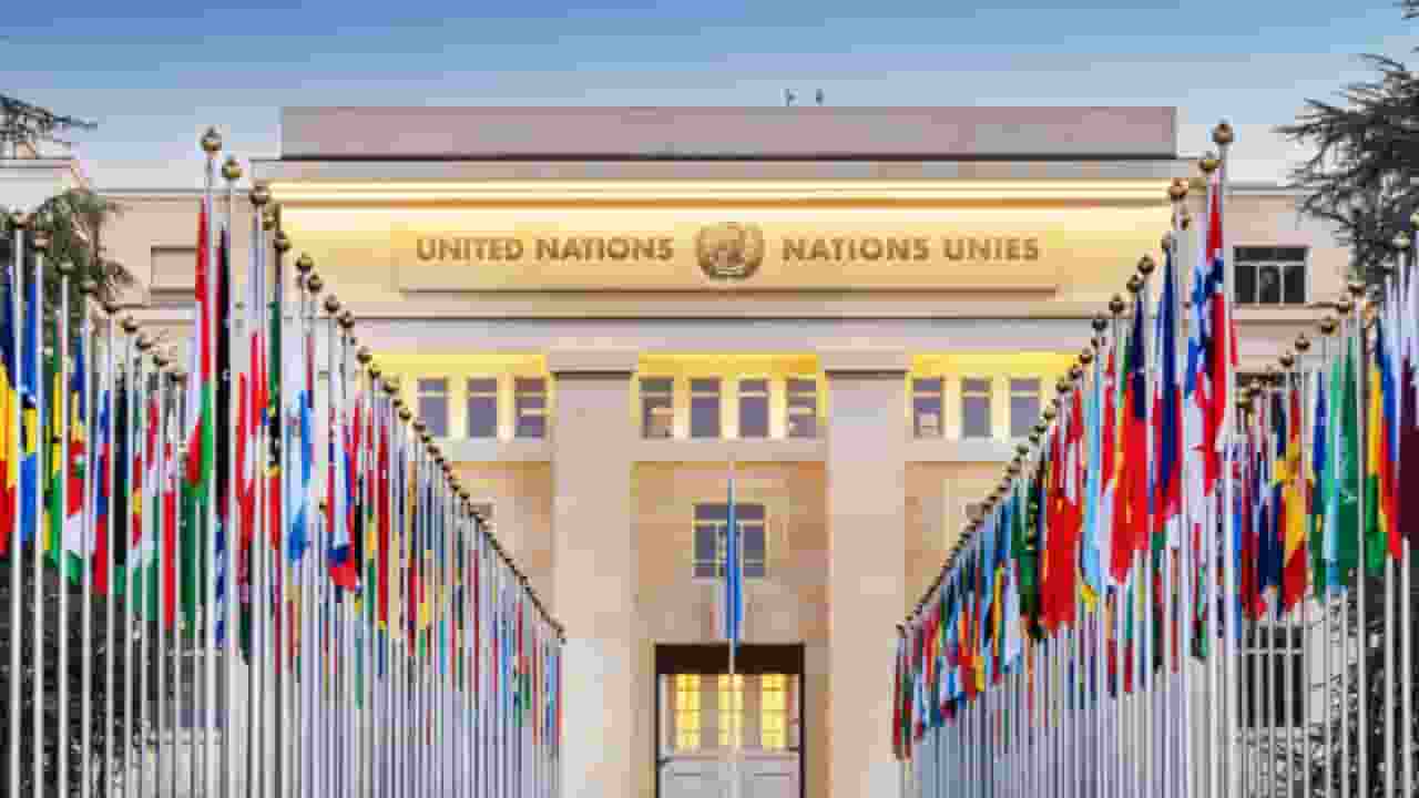 United Nations 