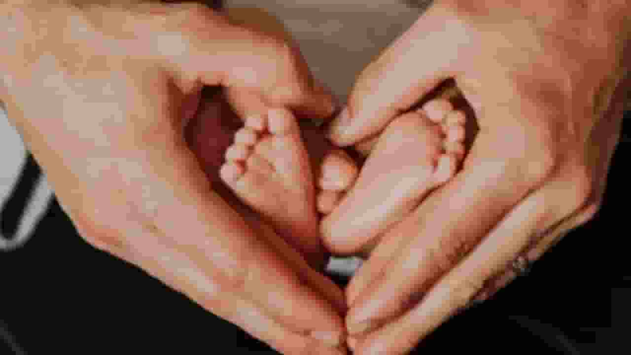 world ivf day