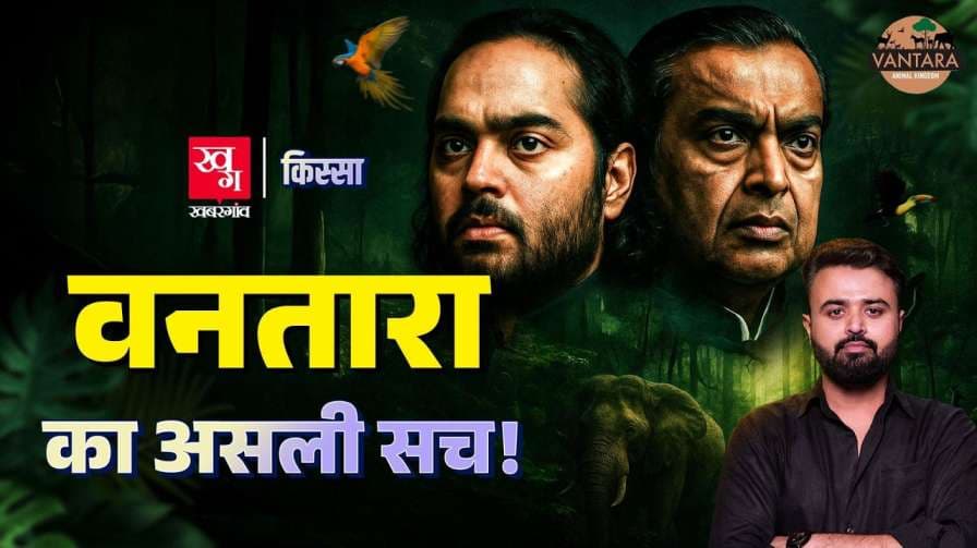 वंतारा प्रोजेक्ट पर क्यों उठते हैं सवाल? जानिए अब तक का पूरा इतिहास वंतारा प्रोजेक्ट पर क्यों उठते हैं सवाल? जानिए अब तक का पूरा इतिहास