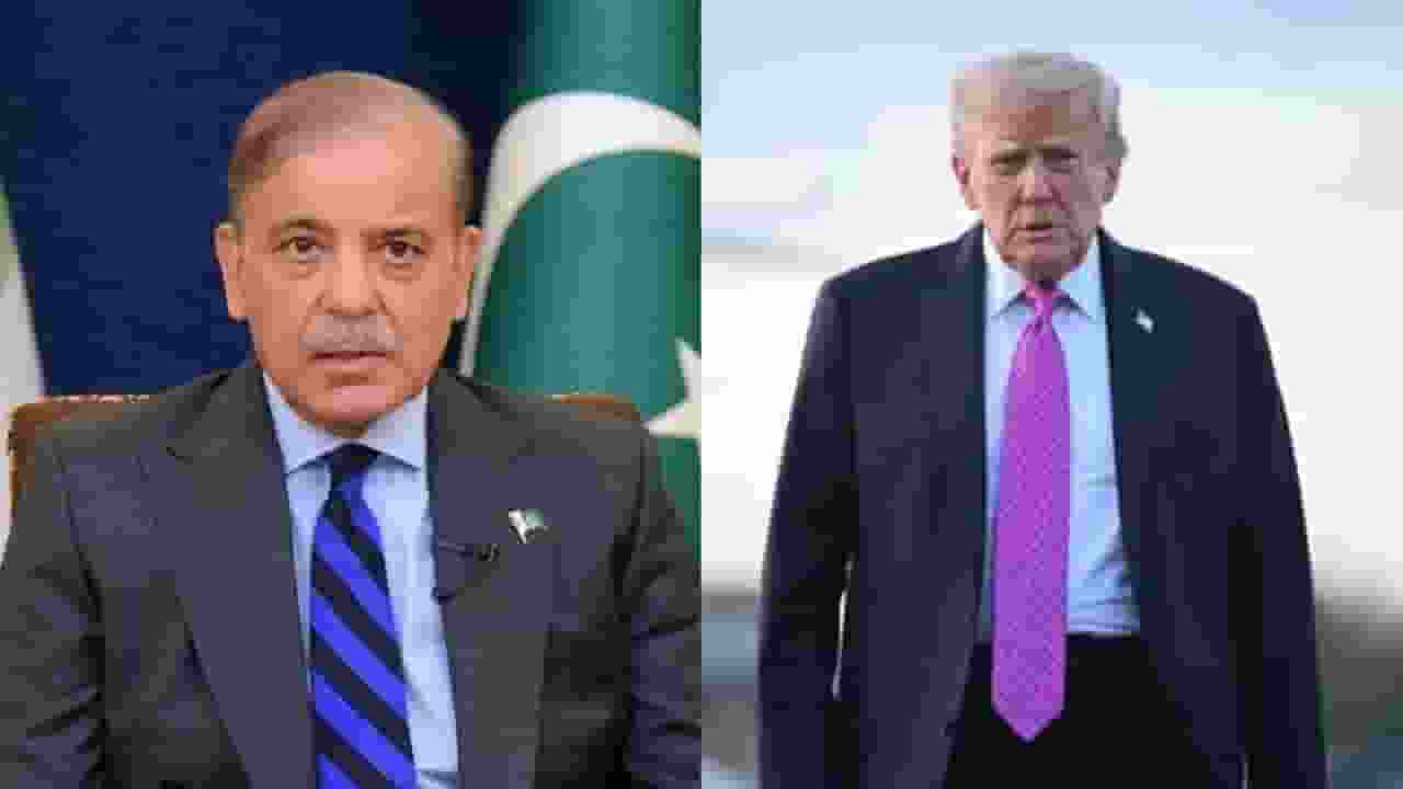 डोनाल्ड ट्रंप से हो सकती है शहबाज शरीफ की मुलाकात, क्या है एजेंडा? donald trump and shahbaz sharif